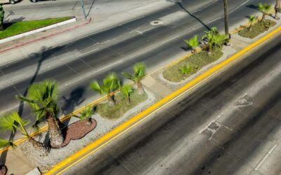 Destaca Claudia Agatón apoyo de Femsa y Oxxo para rehabilitar camellones en Av. Reforma
