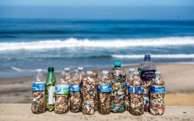 Durante ¨Colillatón¨ recolectan más de 20 mil colillas de cigarro en Playas de Tijuana