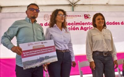 Entrega SADER apoyos de hasta 150 mil pesos a agricultores de Ensenada