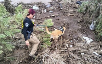 Refuerza FGE operativos de búsqueda; confirman 4 fallecidos tras Tormenta Rachel en Ensenada