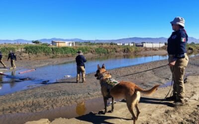 Localizan sin vida a Rosalinda, desaparecida tras la tormenta Rachel en Maneadero
