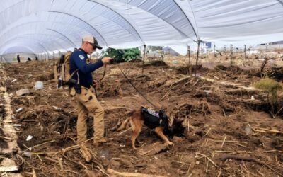 Refuerza FGE labores de búsqueda de personas tras paso de Rachel por Ensenada